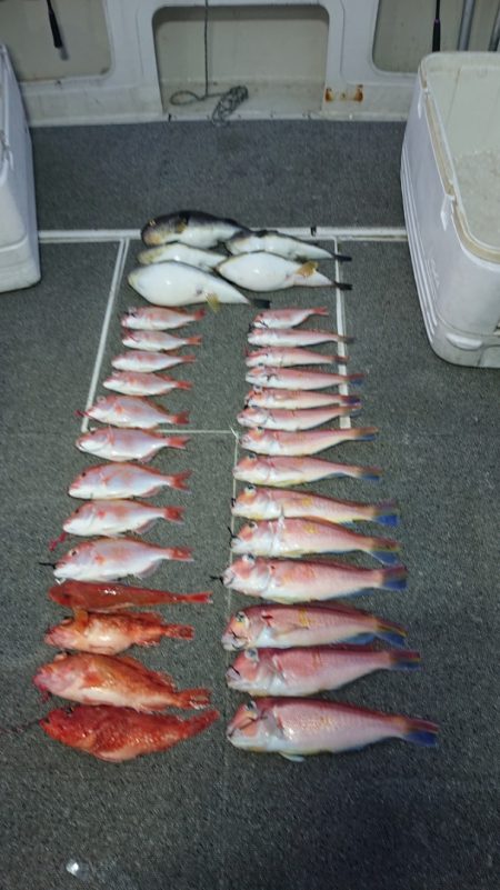 ARCADIAⅡ (アルカディアⅡ) 釣果