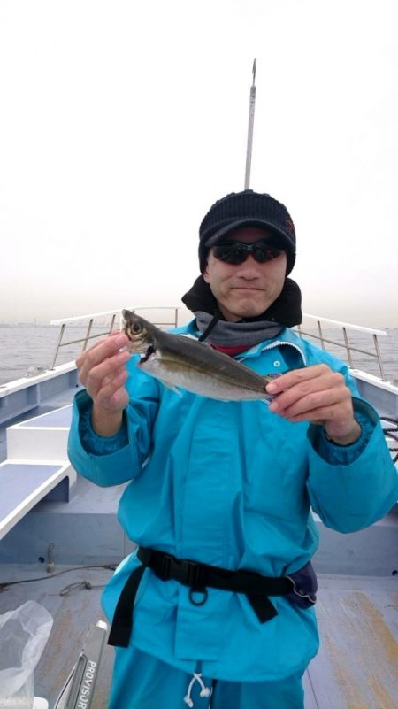 金沢八景鴨下丸 釣果