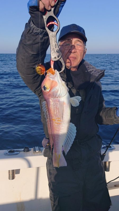 ARCADIAⅡ (アルカディアⅡ) 釣果