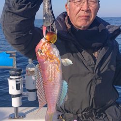 ARCADIAⅡ (アルカディアⅡ) 釣果