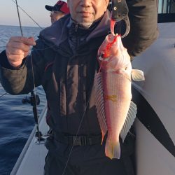 ARCADIAⅡ (アルカディアⅡ) 釣果