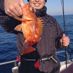 ARCADIAⅡ (アルカディアⅡ) 釣果