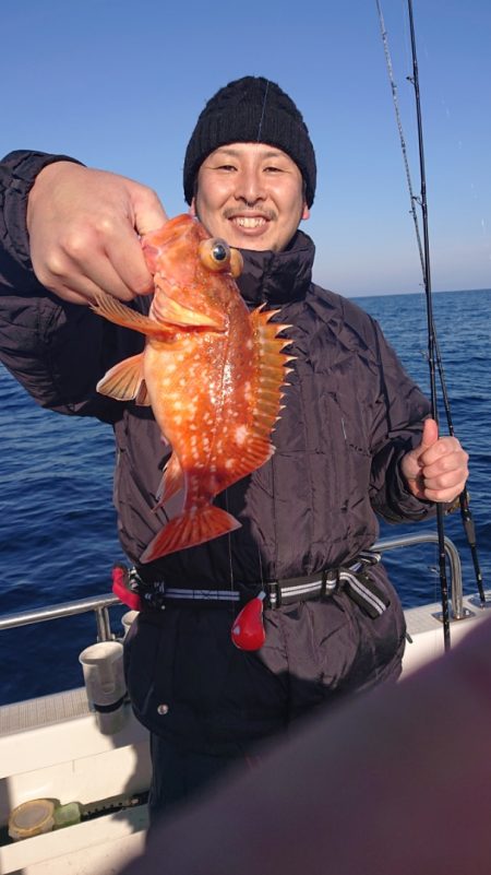 ARCADIAⅡ (アルカディアⅡ) 釣果