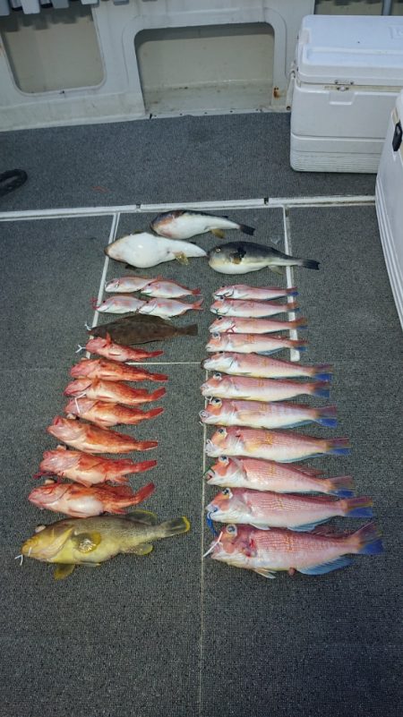 ARCADIAⅡ (アルカディアⅡ) 釣果