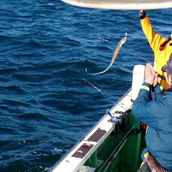 金沢八景鴨下丸 釣果