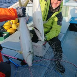 清和丸 釣果