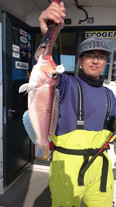 ARCADIAⅡ (アルカディアⅡ) 釣果