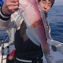 ARCADIAⅡ (アルカディアⅡ) 釣果