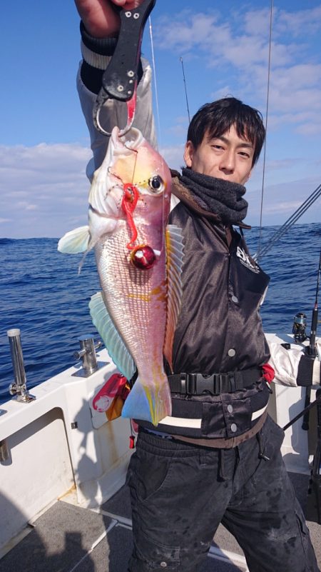 ARCADIAⅡ (アルカディアⅡ) 釣果