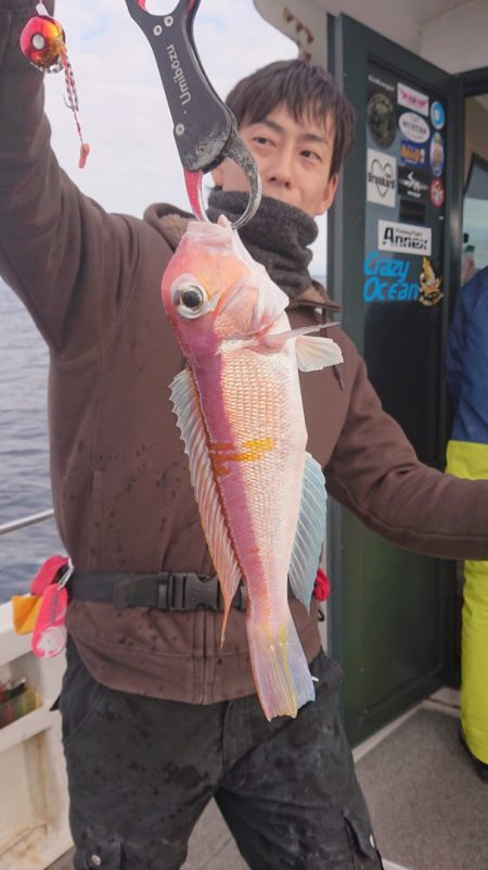 ARCADIAⅡ (アルカディアⅡ) 釣果