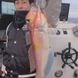 ARCADIAⅡ (アルカディアⅡ) 釣果