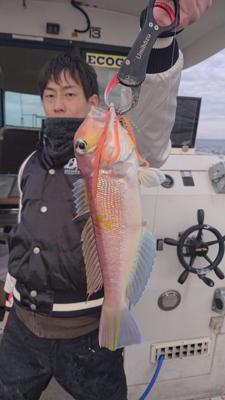 ARCADIAⅡ (アルカディアⅡ) 釣果