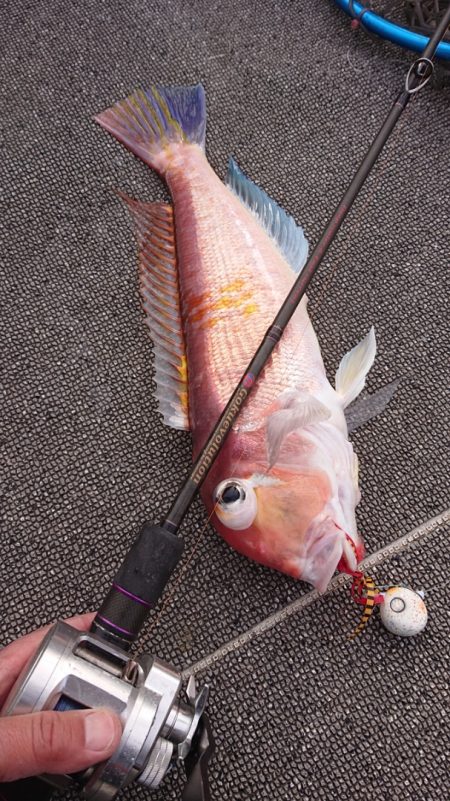 ARCADIAⅡ (アルカディアⅡ) 釣果