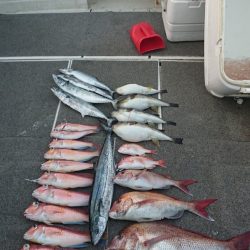 ARCADIAⅡ (アルカディアⅡ) 釣果