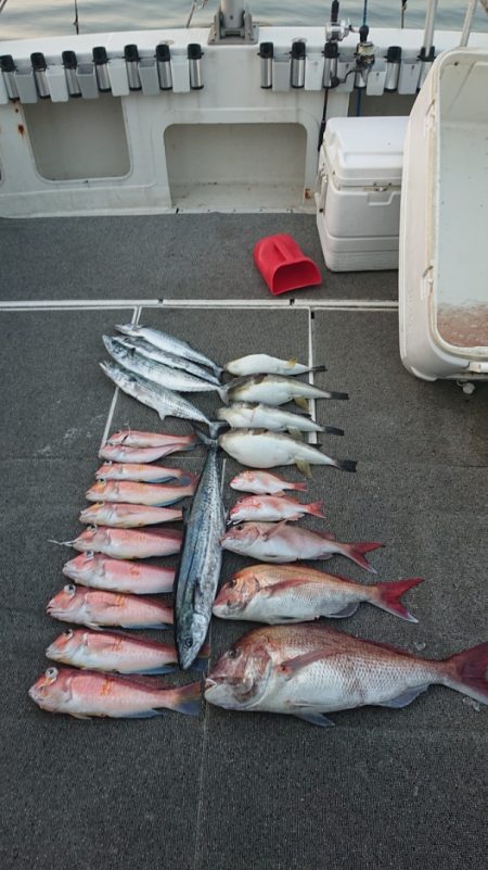 ARCADIAⅡ (アルカディアⅡ) 釣果