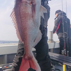 だて丸 釣果