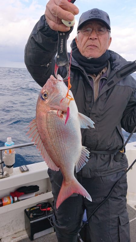 ARCADIAⅡ (アルカディアⅡ) 釣果