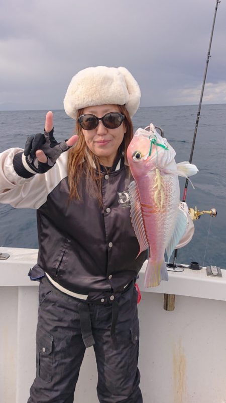 ARCADIAⅡ (アルカディアⅡ) 釣果