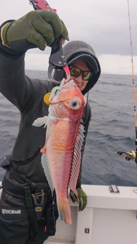 ARCADIAⅡ (アルカディアⅡ) 釣果