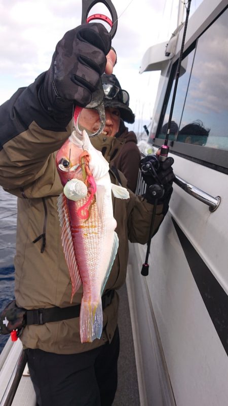 ARCADIAⅡ (アルカディアⅡ) 釣果