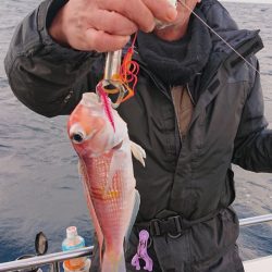 ARCADIAⅡ (アルカディアⅡ) 釣果