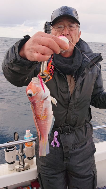 ARCADIAⅡ (アルカディアⅡ) 釣果