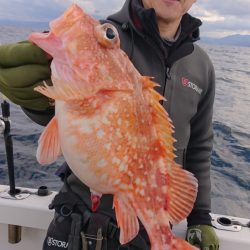 ARCADIAⅡ (アルカディアⅡ) 釣果