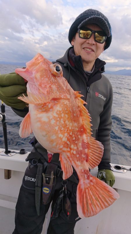 ARCADIAⅡ (アルカディアⅡ) 釣果