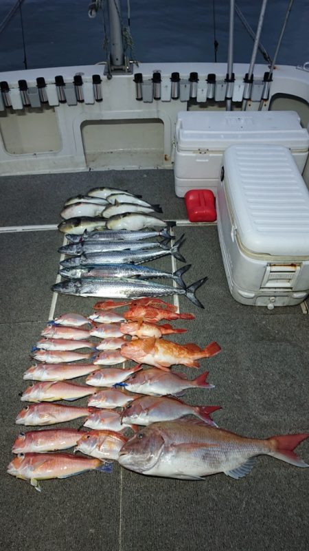 ARCADIAⅡ (アルカディアⅡ) 釣果