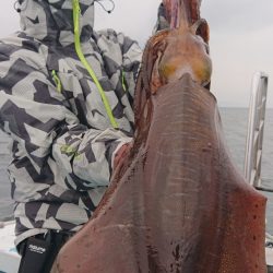 シースナイパー海龍 釣果