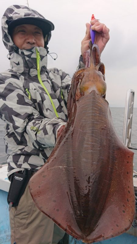 シースナイパー海龍 釣果