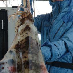 シースナイパー海龍 釣果