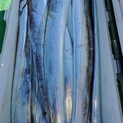 金沢八景鴨下丸 釣果