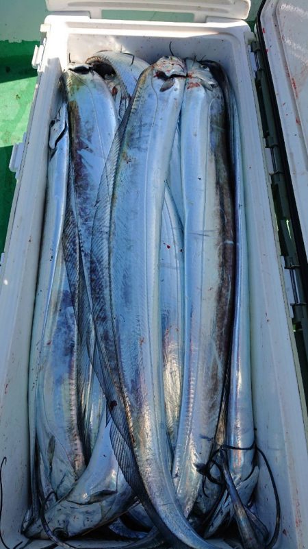 金沢八景鴨下丸 釣果