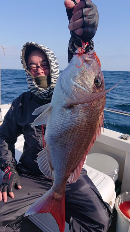 ARCADIAⅡ （アルカディアⅡ） 釣果