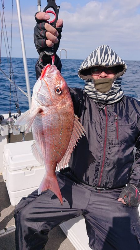 ARCADIAⅡ （アルカディアⅡ） 釣果