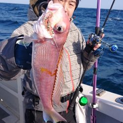 ARCADIAⅡ （アルカディアⅡ） 釣果