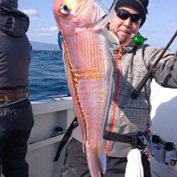 ARCADIAⅡ （アルカディアⅡ） 釣果