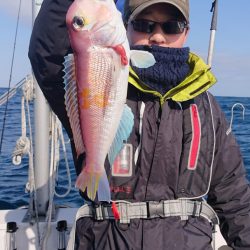 ARCADIAⅡ （アルカディアⅡ） 釣果