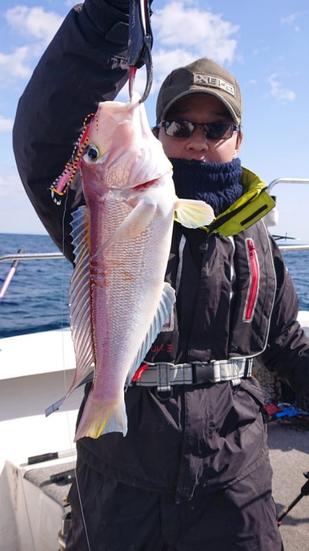 ARCADIAⅡ （アルカディアⅡ） 釣果