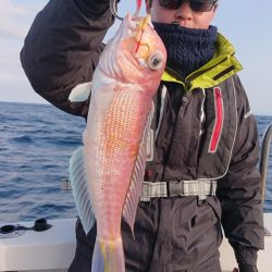 ARCADIAⅡ （アルカディアⅡ） 釣果