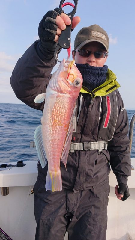 ARCADIAⅡ （アルカディアⅡ） 釣果