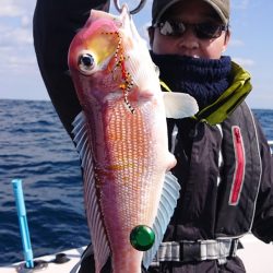 ARCADIAⅡ （アルカディアⅡ） 釣果