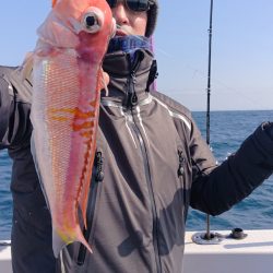 ARCADIAⅡ （アルカディアⅡ） 釣果