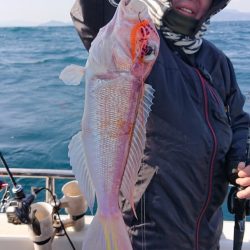 ARCADIAⅡ （アルカディアⅡ） 釣果