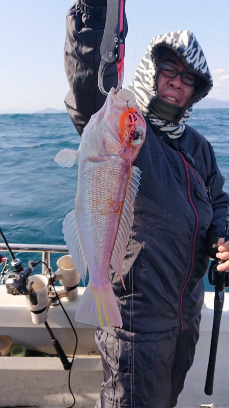 ARCADIAⅡ （アルカディアⅡ） 釣果