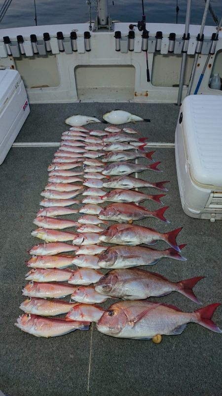 ARCADIAⅡ （アルカディアⅡ） 釣果