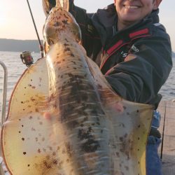 シースナイパー海龍 釣果