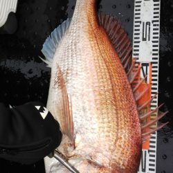 第二龍勢丸 釣果