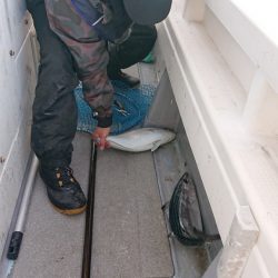 海皇丸 釣果